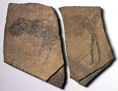 1. Apollo 11 Stones
Location: Namibia
Artist: N/A
Date: 25,500 - 25,300 B.C.E
Culture: (probably) ancient South African
Period/Style: Prehistoric, Paleolithic
Material/Technique: Charcoal on stone
Theme(s): animal representation, records,
Form: An animal that looks like a bovine can be seen on the stone. The use of lines and shape are displayed in the entire figure. However, keep in mind that during this time period a limited amount of supplies were available to people.
Function: Probably to keep record of what was seen or killed.
Content: Figures of animals
Context: Found in the Apollo 11 Cave in the Huns Mountains of southwestern Namibia with unusual precision for ancient rock art. The stones are engraved with geometric line designs and representations of animals. 1. Apollo 11 Stones
Location: Namibia
Artist: N/A
Date: 25,500 - 25,300 B.C.E
Culture: (probably) ancient South African
Period/Style: Prehistoric, Paleolithic
Material/Technique: Charcoal on stone
Theme(s): animal representation, records,
Form: An animal that looks like a bovine can be seen on the stone. The use of lines and shape are displayed in the entire figure. However, keep in mind that during this time period a limited amount of supplies were available to people.
Function: Probably to keep record of what was seen or killed.
Content: Figures of animals
Context: Found in the Apollo 11 Cave in the Huns Mountains of southwestern Namibia with unusual precision for ancient rock art. The stones are engraved with geometric line designs and representations of animals.