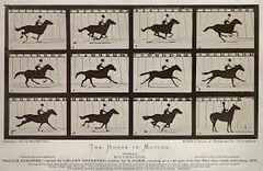 117. Horse in Motion 117. Horse in Motion