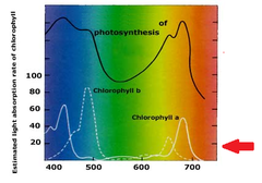 absorption spectrum absorption spectrum