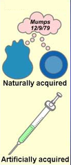active immunity active immunity