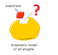 active site active site
