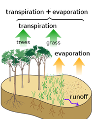 actual evapotranspiration actual evapotranspiration