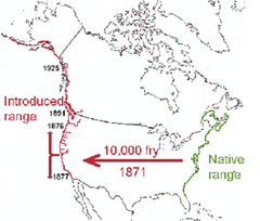 actual range actual range