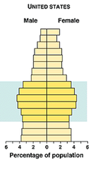age structure age structure