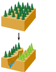 allopatric speciation allopatric speciation