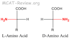 Amino acid residues of all proteins have the __ configuration Amino acid residues of all proteins have the __ configuration
