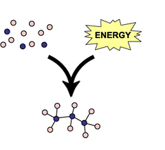 anabolic pathways anabolic pathways
