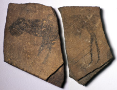 Apollo 11 Stones
Namibia, c.a. 25,000 B.C.E., Charcoal on stone
Oldest art in Africa nad first evidence of artistic expression globally
Layers below where stones were found contain non-native materials suggesting human settlement
Animal form but has human hind legs
Curved horns, possibly animal/human form reflecting shamanisitic beliefs
Shows homo sapiens had capacity for modern thought
Animal in profile view, named after Apollo 11 landing Apollo 11 Stones
Namibia, c.a. 25,000 B.C.E., Charcoal on stone
Oldest art in Africa nad first evidence of artistic expression globally
Layers below where stones were found contain non-native materials suggesting human settlement
Animal form but has human hind legs
Curved horns, possibly animal/human form reflecting shamanisitic beliefs
Shows homo sapiens had capacity for modern thought
Animal in profile view, named after Apollo 11 landing