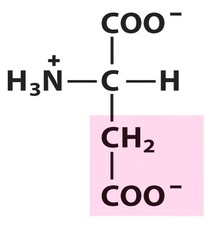 Aspartic acid Aspartic acid