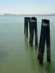 Battle of lake trasimene Battle of lake trasimene