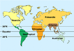 biogeographic realms biogeographic realms