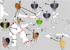 biogeography biogeography