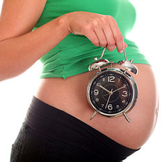 biological clock biological clock