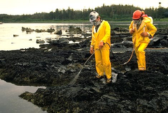 bioremediation bioremediation