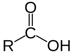 Carboxylic Acid Carboxylic Acid