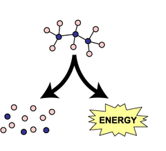 catabolic pathways catabolic pathways