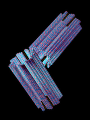 centriole centriole