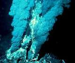 chemoautotrophs chemoautotrophs