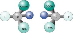 Chirality Chirality