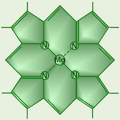 chlorophyll chlorophyll