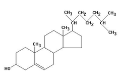 cholesterol cholesterol