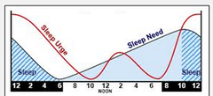 circadian rhythm circadian rhythm