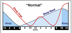 circadian rhythms circadian rhythms