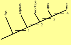 cladistics cladistics