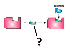 cofactor cofactor