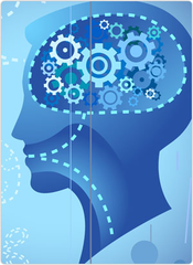 cognition cognition