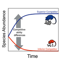 Competitive Exclusion Principle Competitive Exclusion Principle