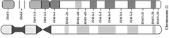 cytogenetic maps cytogenetic maps
