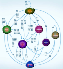 cytokines cytokines