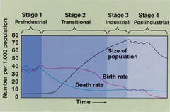 demographic transition demographic transition