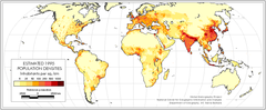 demography demography