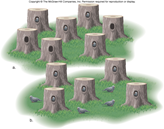 density-dependent regulation density-dependent regulation