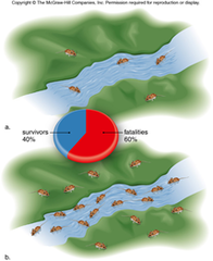density-independent regulation density-independent regulation