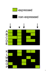 differential gene expression differential gene expression