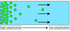 diffusion diffusion