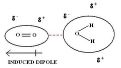 Dipole-Induced Dipole Interactions Dipole-Induced Dipole Interactions