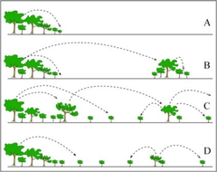 dispersal dispersal