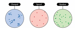 dispersion dispersion