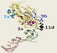 domains domains