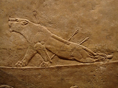 Dying Lioness. Nineveh. Assyrian. c. 650 BCE. Alabaster Dying Lioness. Nineveh. Assyrian. c. 650 BCE. Alabaster