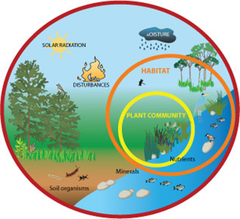 ecosystem ecosystem