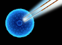 electroporation electroporation
