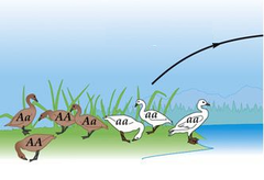 emigration emigration