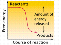 endergonic reaction endergonic reaction