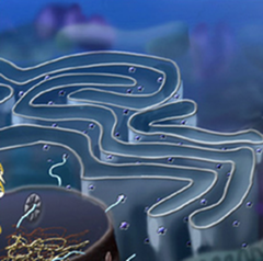 endomembrane system endomembrane system