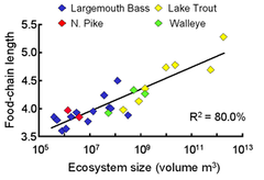energy hypothesis energy hypothesis